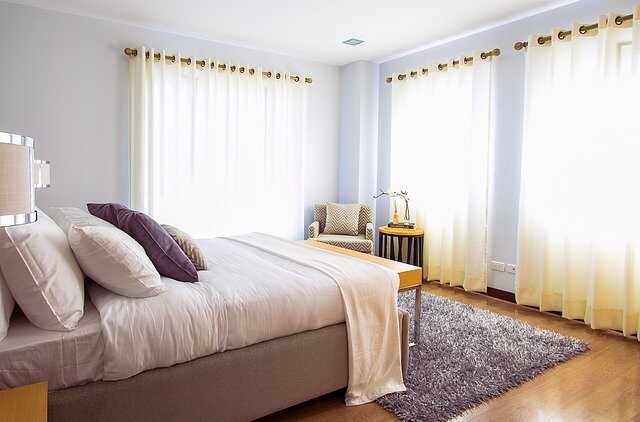 How To Get Rid Of Flies In Your Bedroom Goodbye Drain Flies