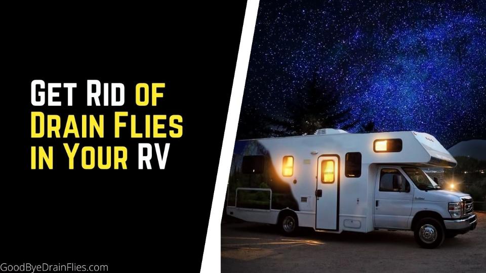 get-rid-of-drain-flies-in-your-rv-flush-holding-tanks