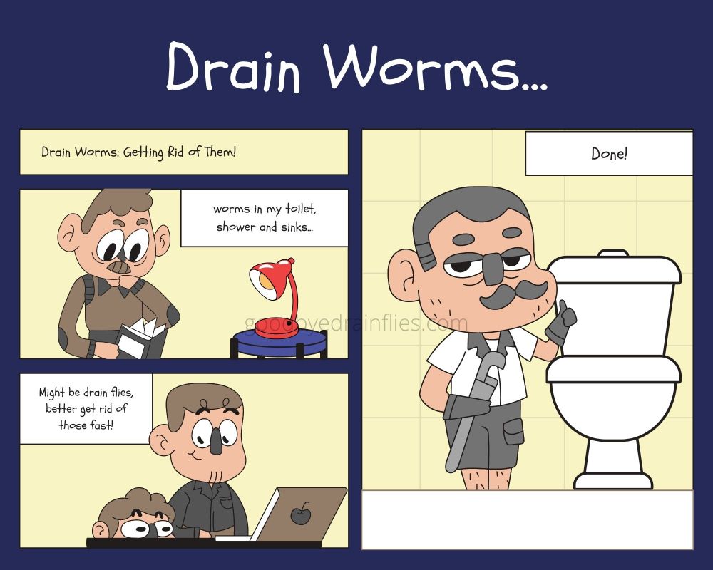 worm in bathroom sink